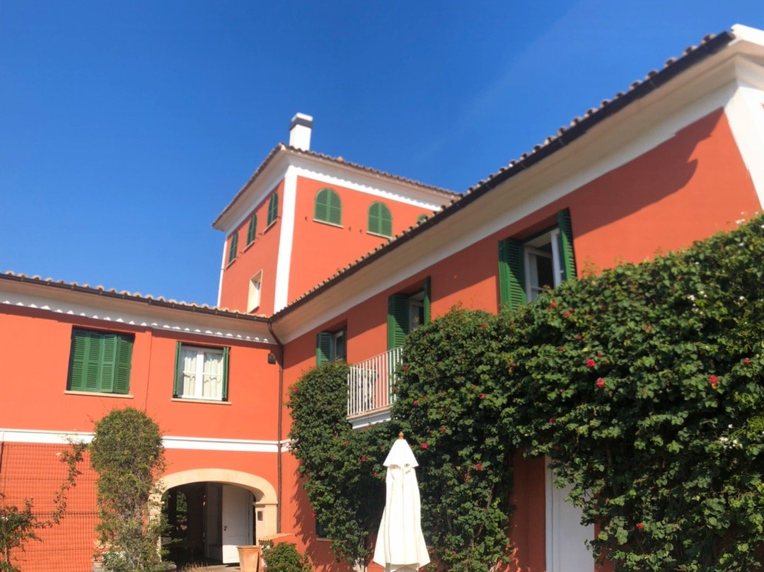 Fincahotel Los Naranjos主图