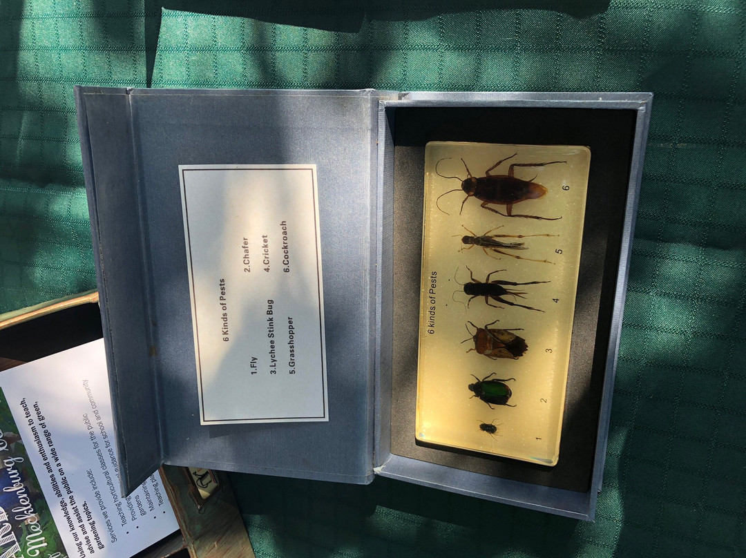 Davidson Farmer's Market-Davidson必去景点