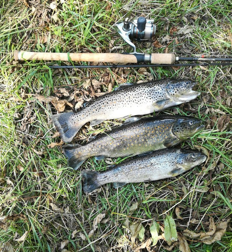 Riserva di Pesca Turistica del Torrente Forzo-Quandin必去景点