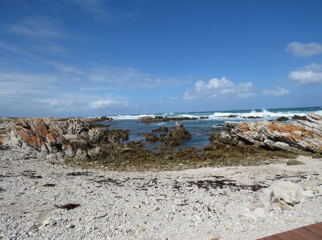 Agulhas National Park-Bredasdorp必去景点