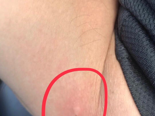 Sam's Town Hotel & Gambling Hall主图