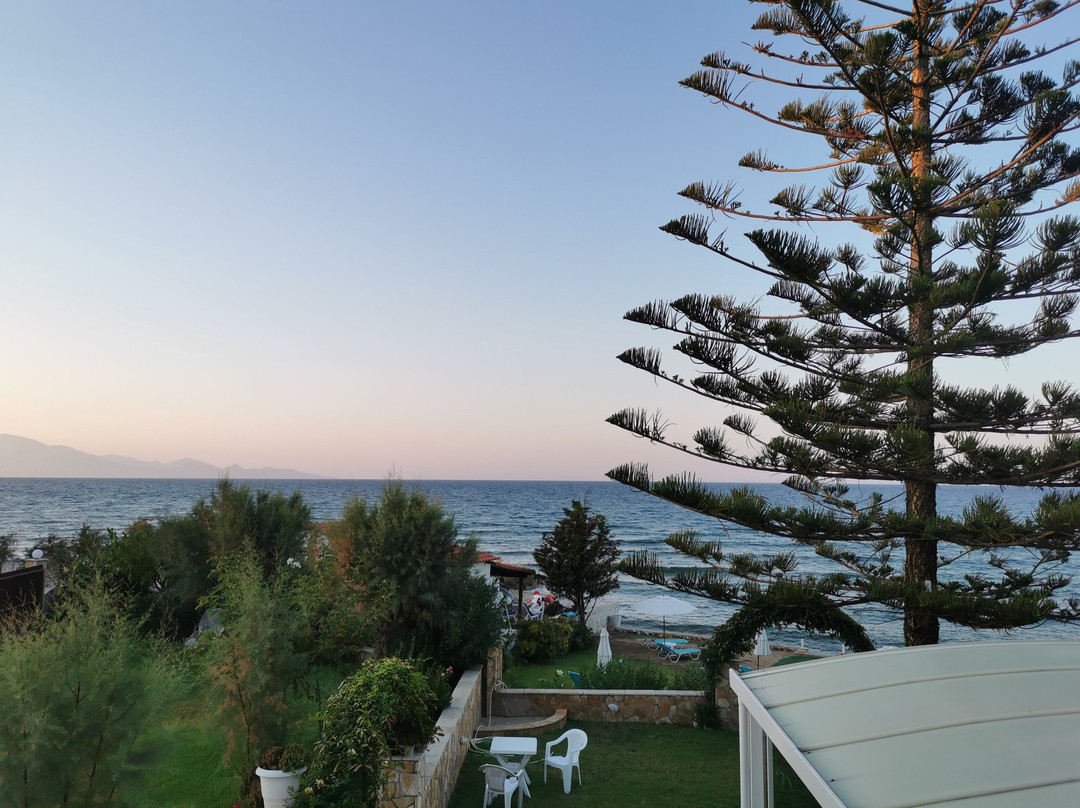 Stefania Apartments主图