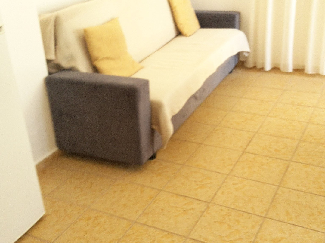 Olive Tree Apartments主图