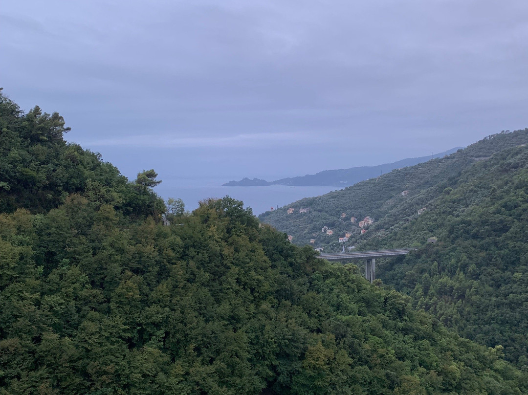 Agriturismo Cerisola 2003主图
