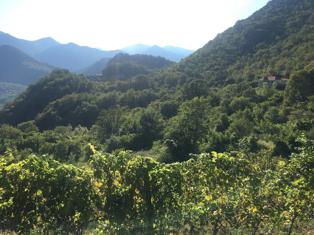 Country House Dajkovic-维尔巴札拉必去景点