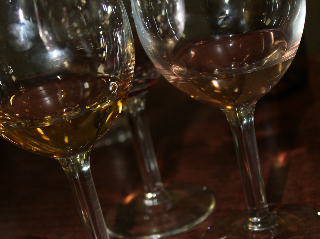 Squashed Grapes-文图拉县必去景点