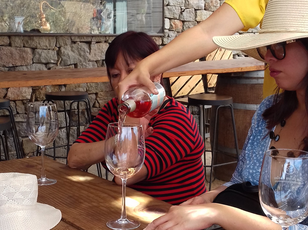 The Wine Route-恩塞纳达必去景点