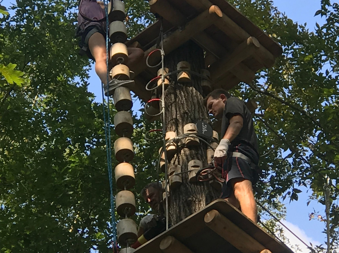 Carolina Treetop Challenge景点图片
