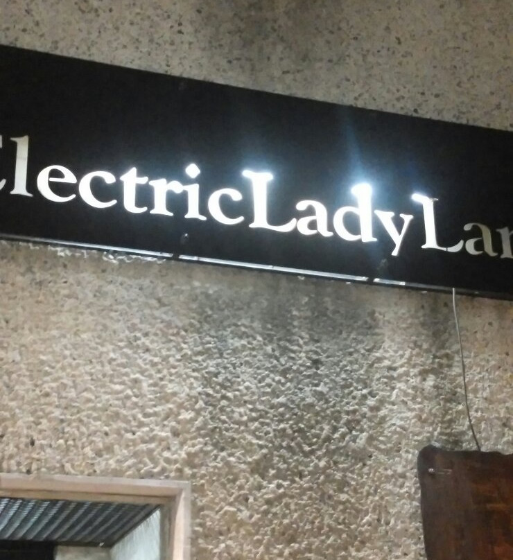 Electric Lady Land景点图片