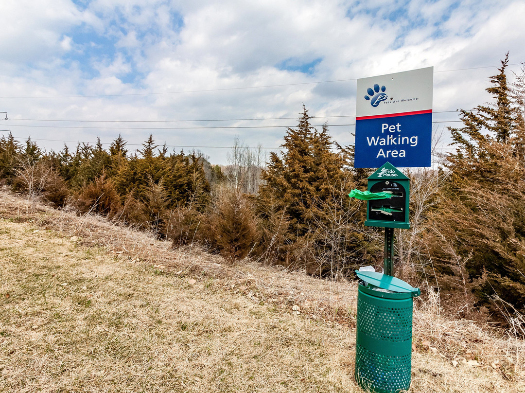 林肯烛木套房酒店主图