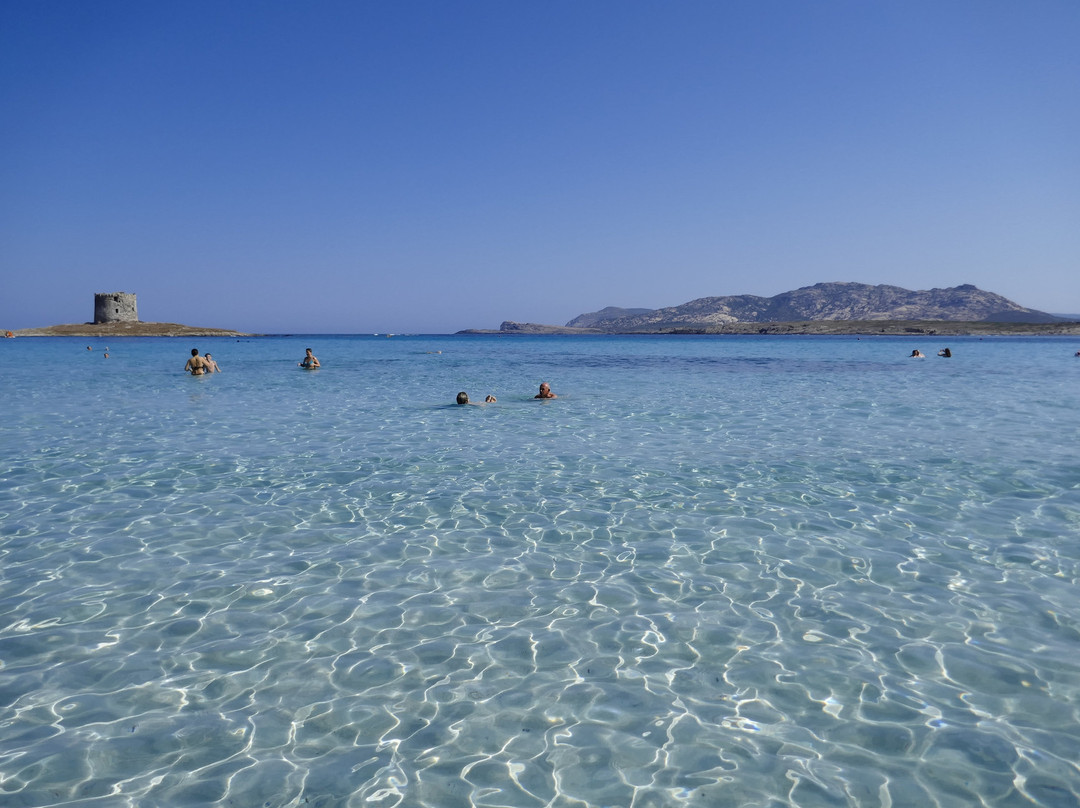 Cala Rosa Club Hotel主图