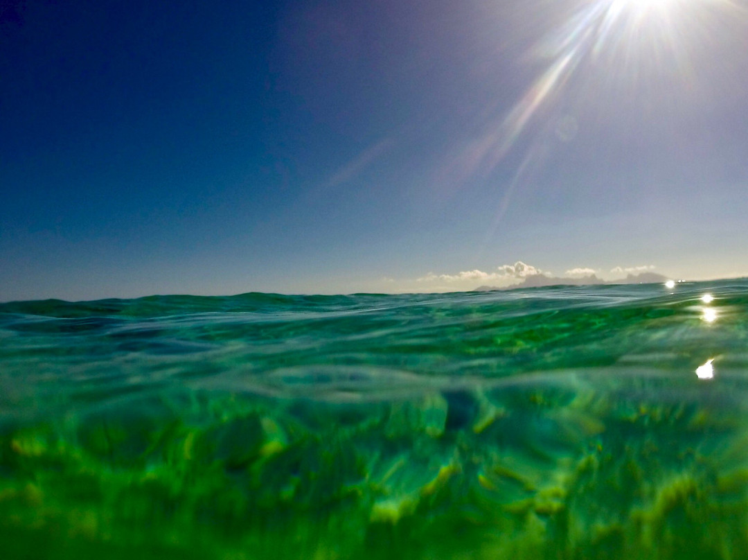 Marama Lodge Tahiti主图