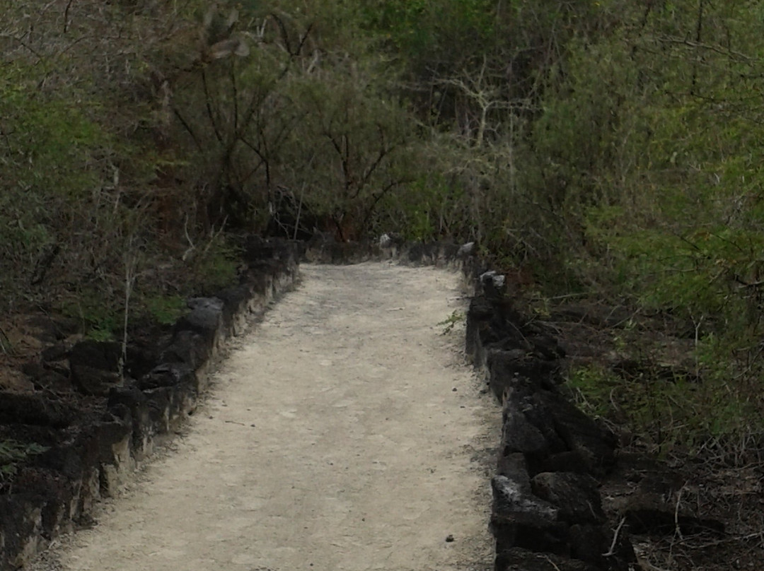 Pozas verde-维里亚米尔港必去景点