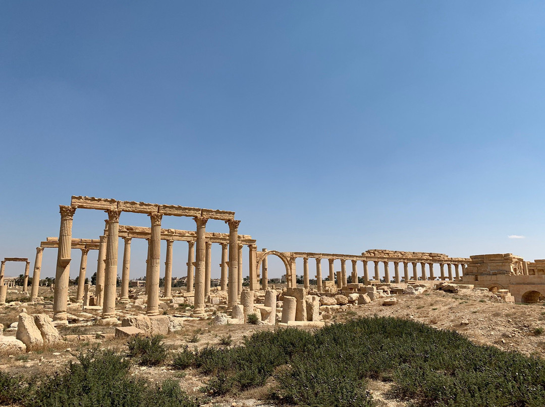 Roman Theatre of Palmyra景点图片