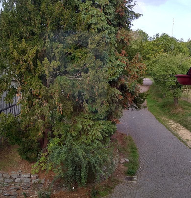 Waldhotel Forsthaus Remstecken主图