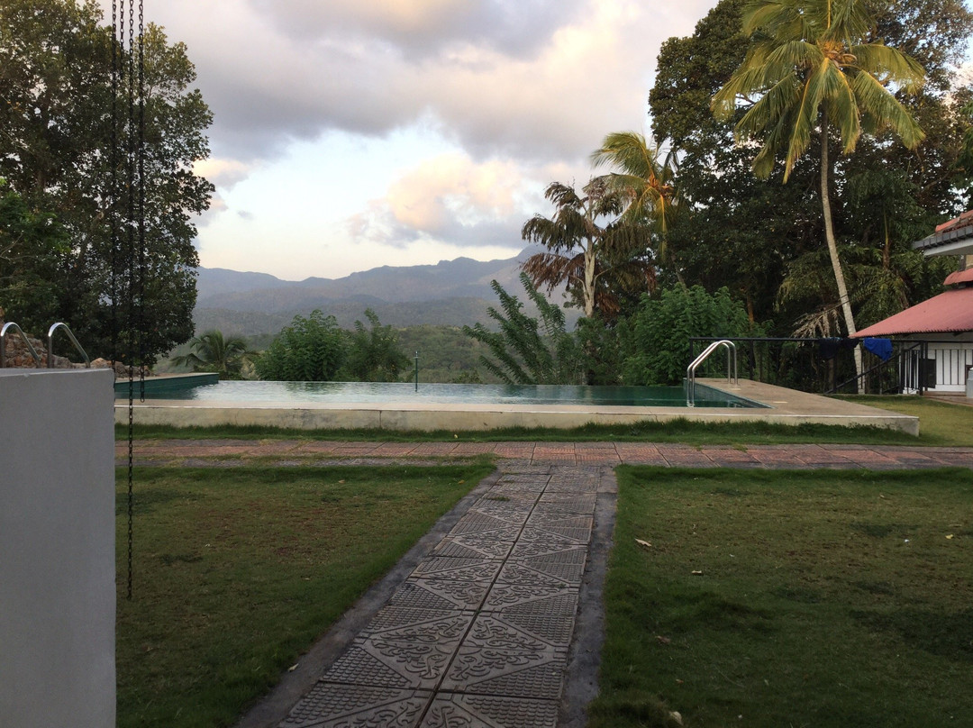 Paradise Forest Garden主图