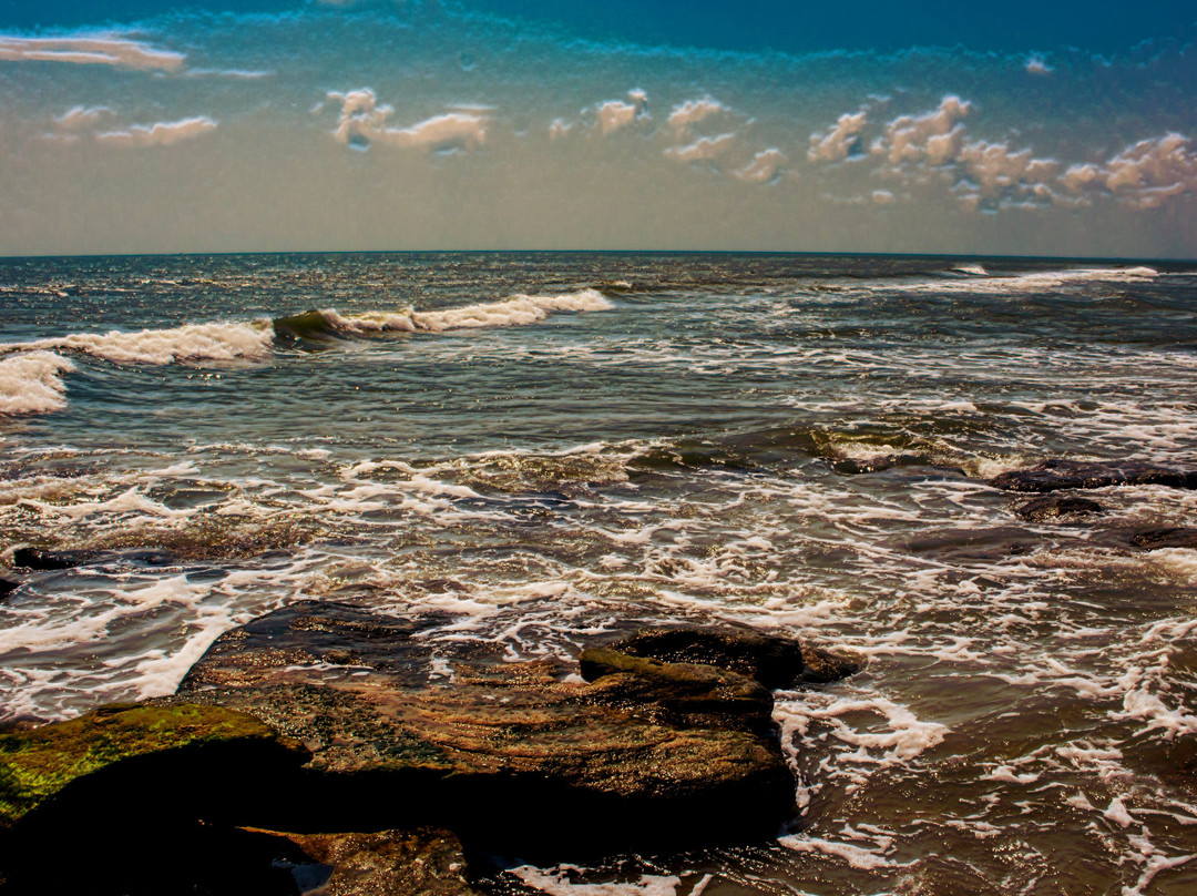 Coquina Outcrop景点图片
