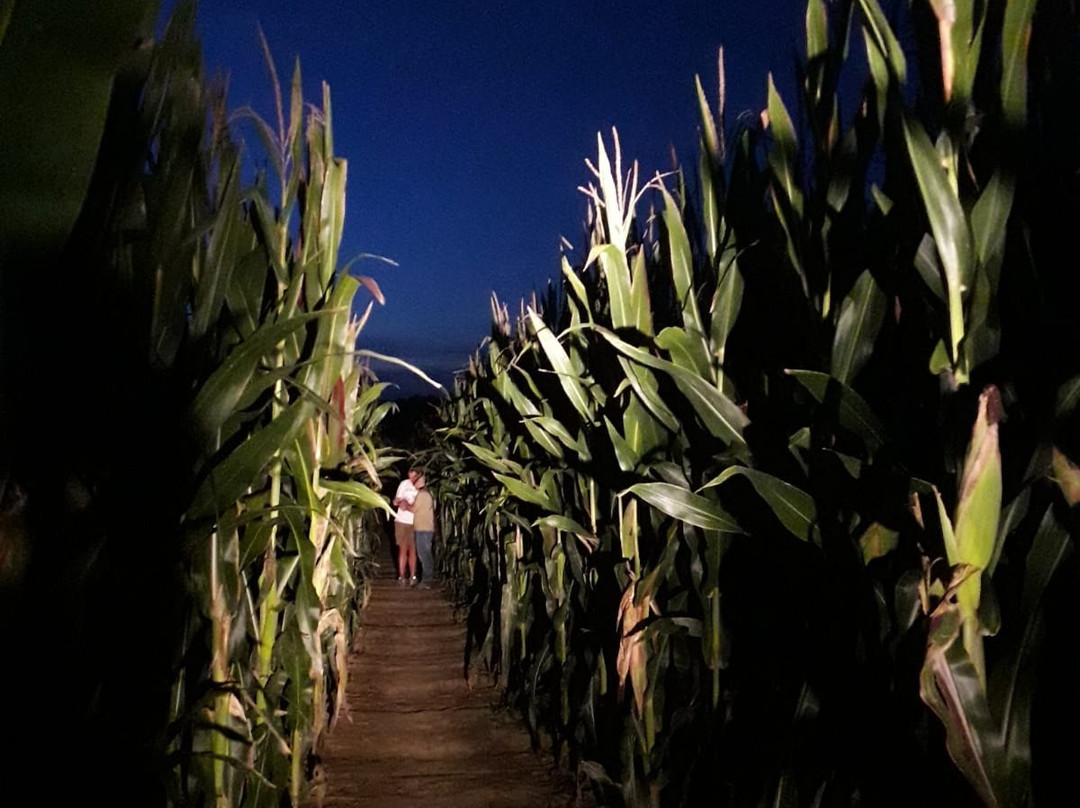 Labirinto di HORT-塞尼加利亚必去景点