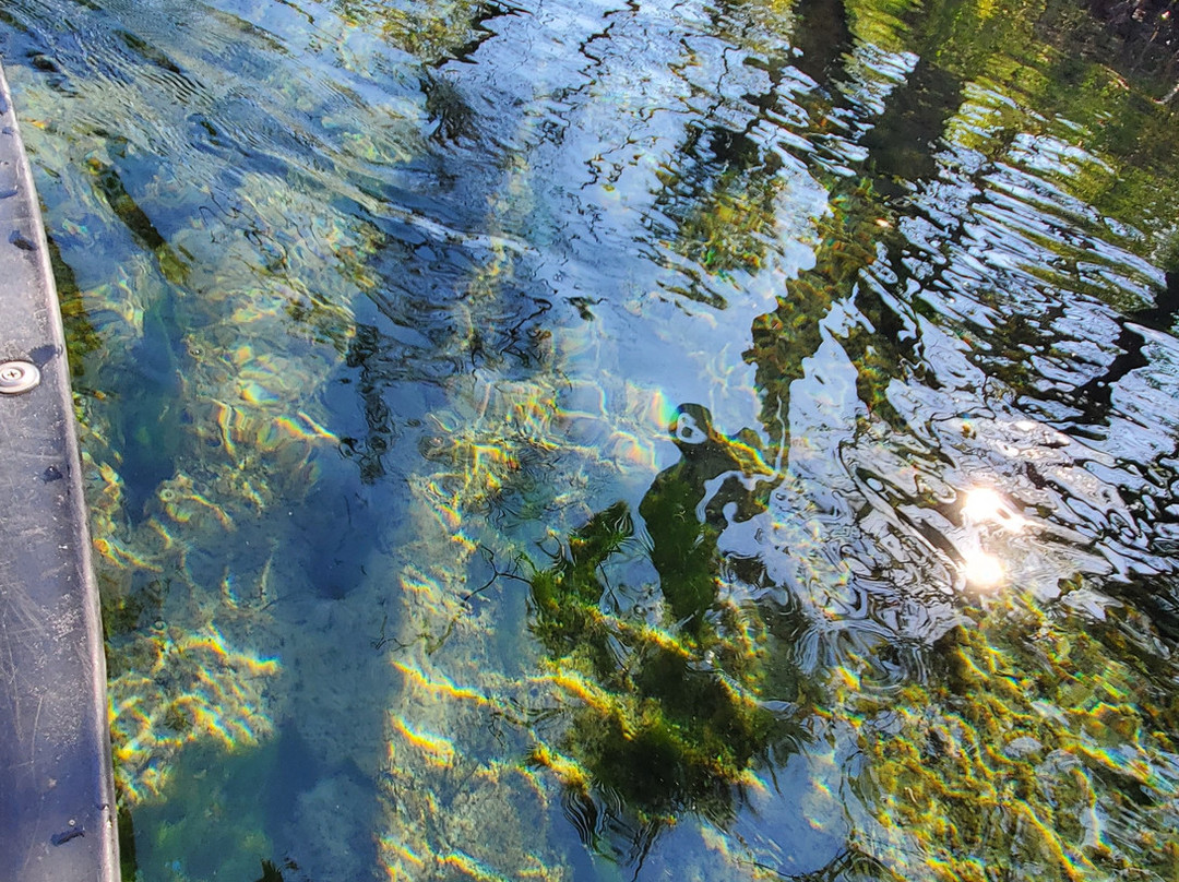 Econfina Canoe Livery景点图片