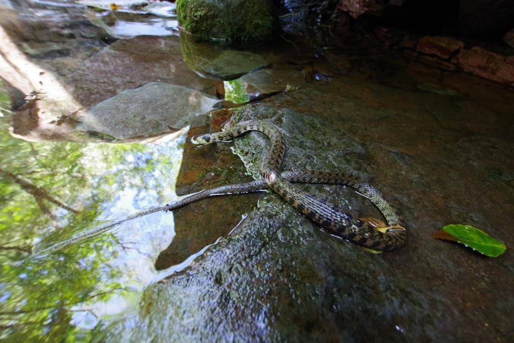 Oshiraji Falls-矢板市必去景点