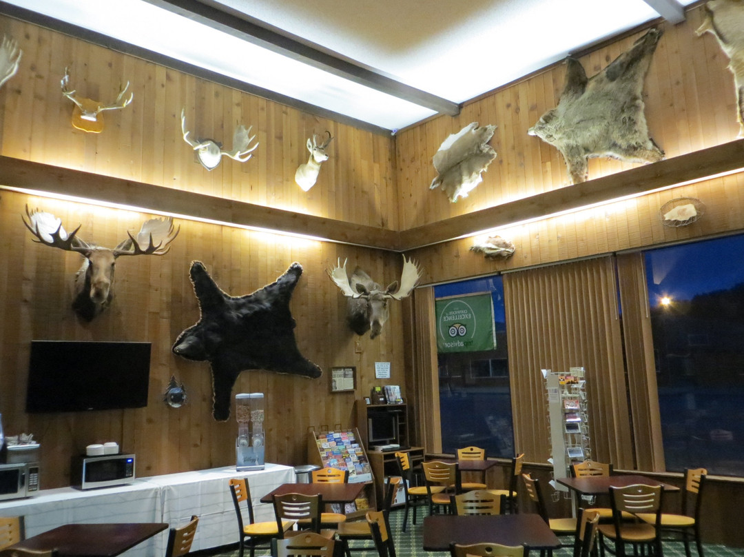 Bear Lodge Motel主图