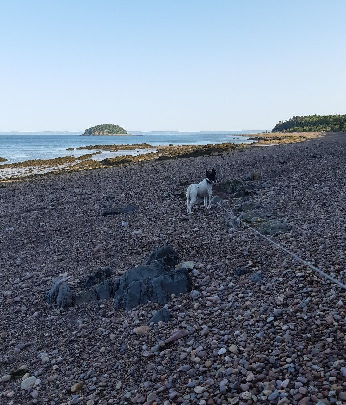 Spencer's Island-Advocate Harbour必去景点