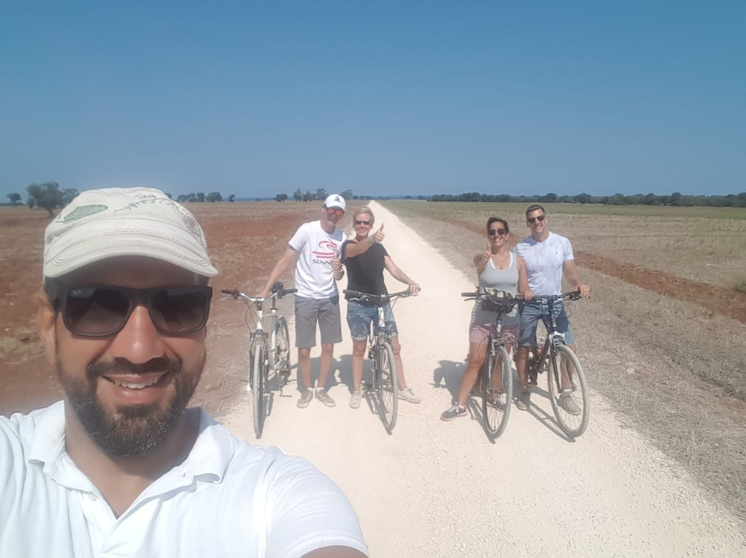 Madera Bike Tour景点图片
