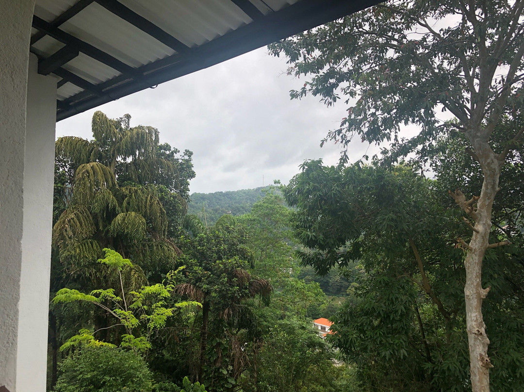 雷根特旅舍主图