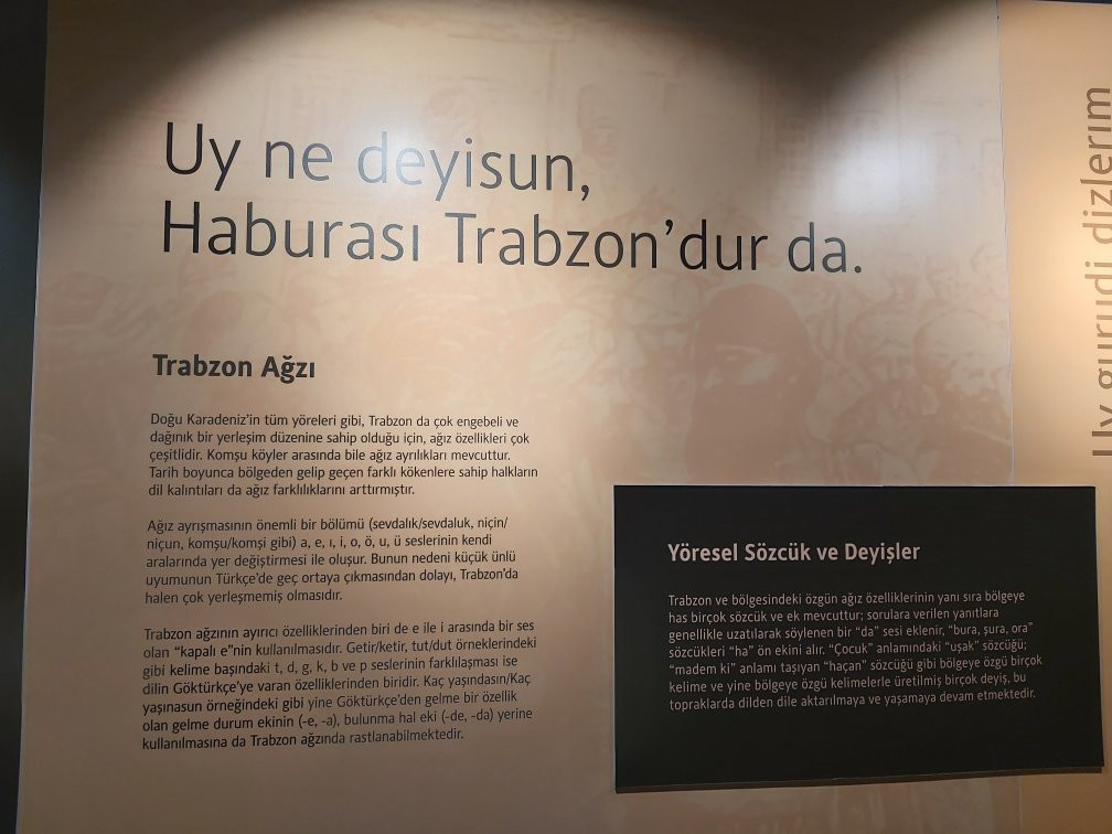 Trabzon Sehir Muzesi景点图片