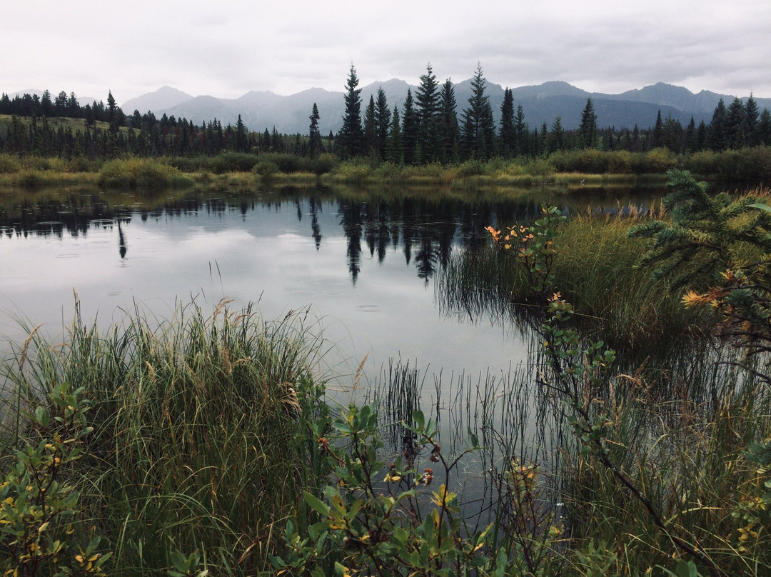 Mina - Riley Lakes Loop-贾斯珀必去景点