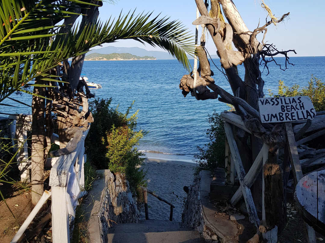 Paradise Hotel主图