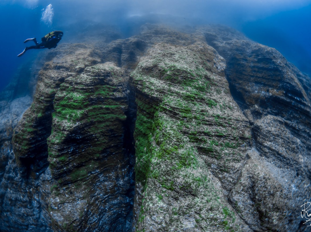 Haliotis Dive Centre Faial-奥尔塔必去景点