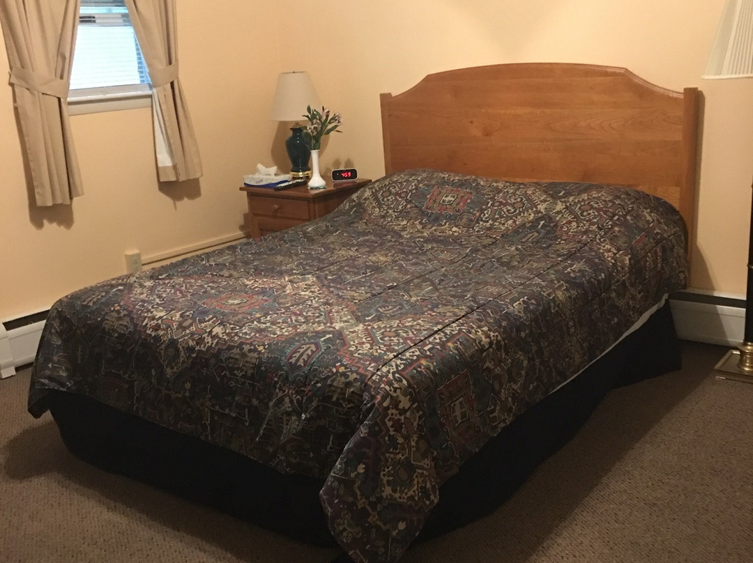 Wind in the Pines主图