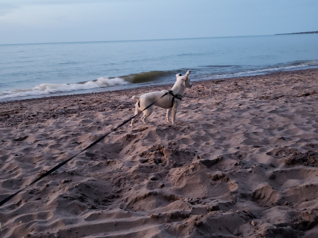 Hamlin Beach State Park景点图片