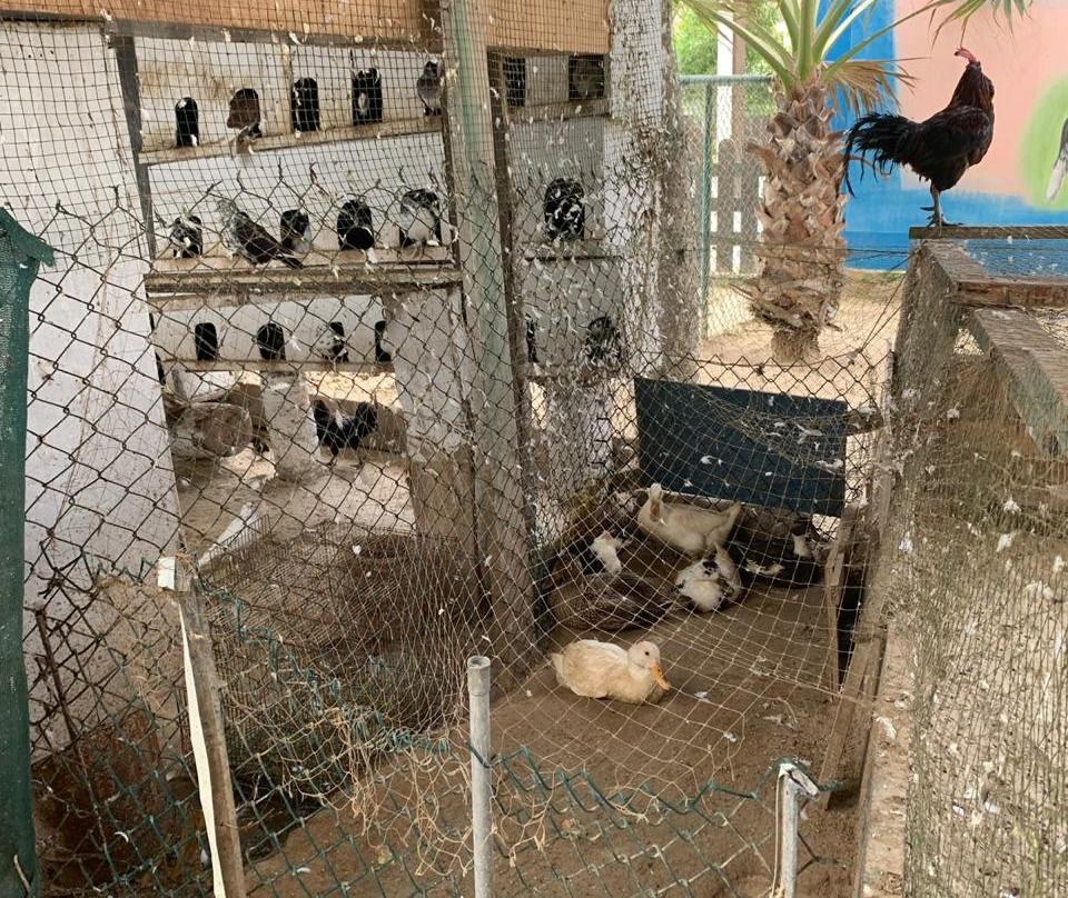 Fanar Hotel and Residences主图