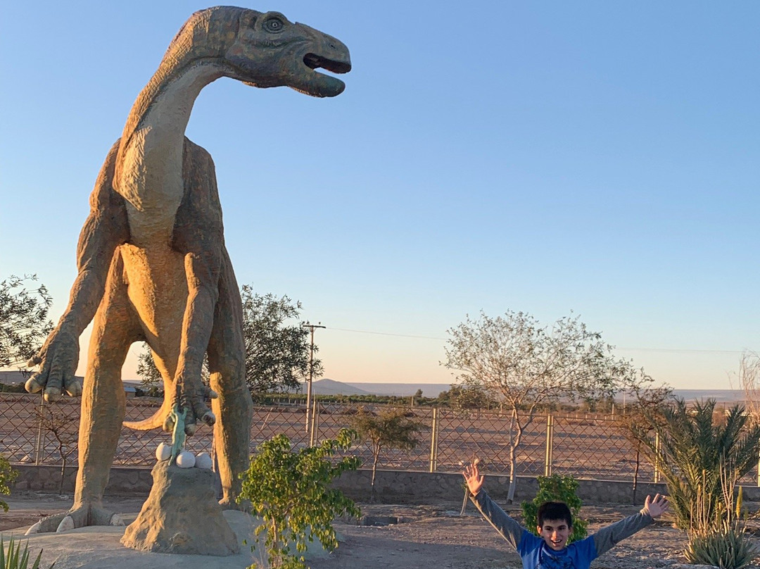 Valle de Los Dinosaurios-Pica必去景点