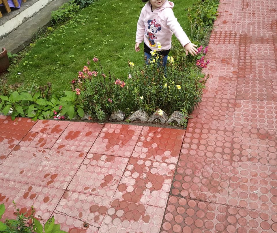 The Jungle Pool主图