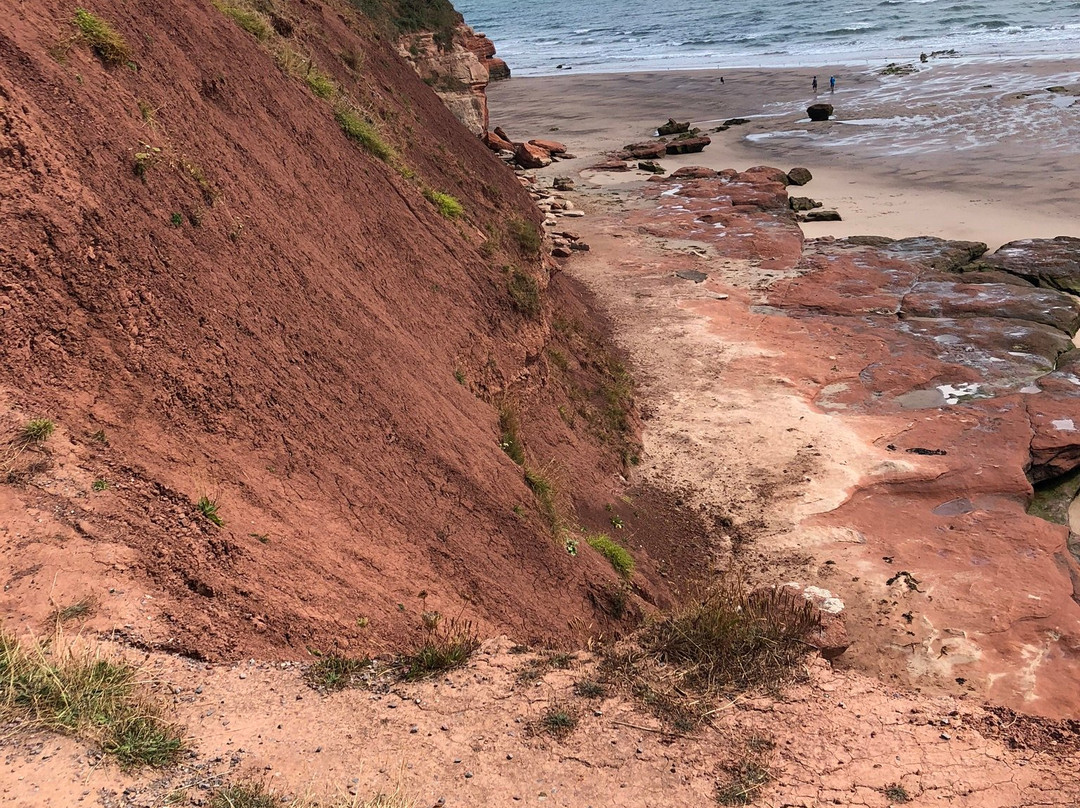 Orcombe Point-埃克斯茅斯必去景点