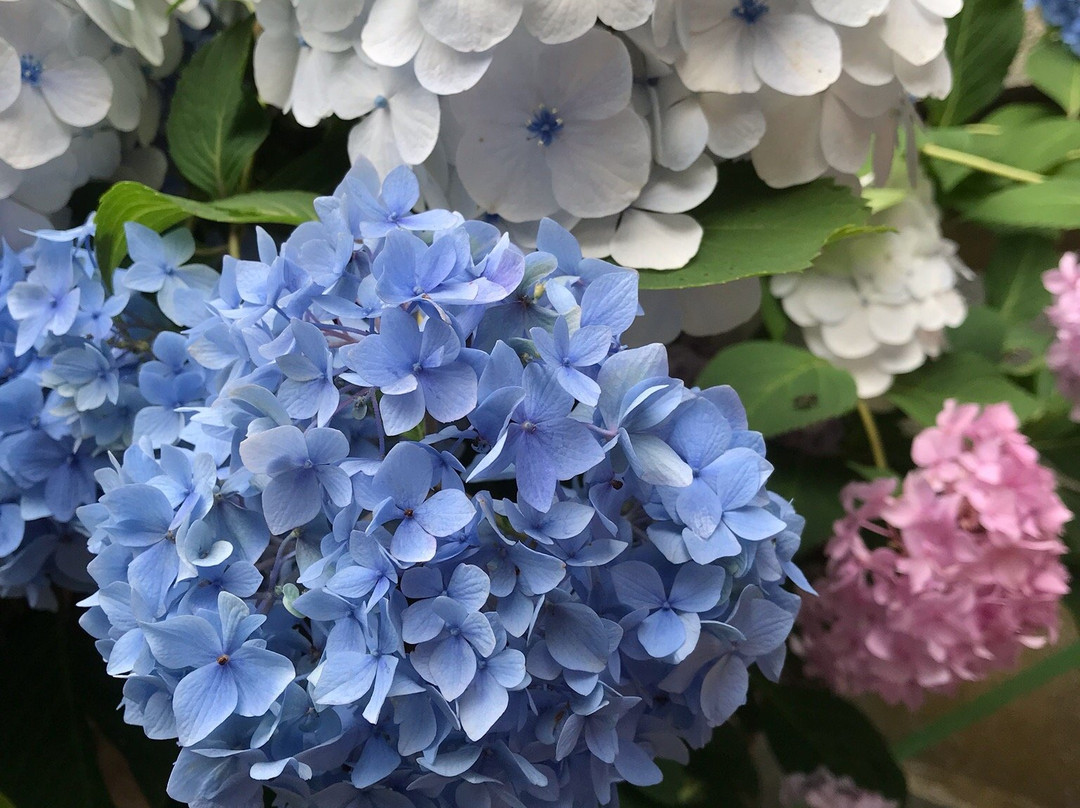 Deshio Monjudo-山形市必去景点