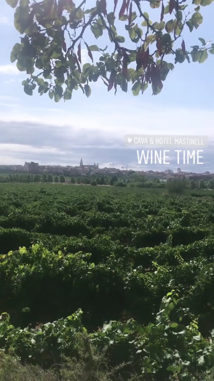 Mastinell Cava & Boutique Hotel By Olivia Hotels Collection-餐饮