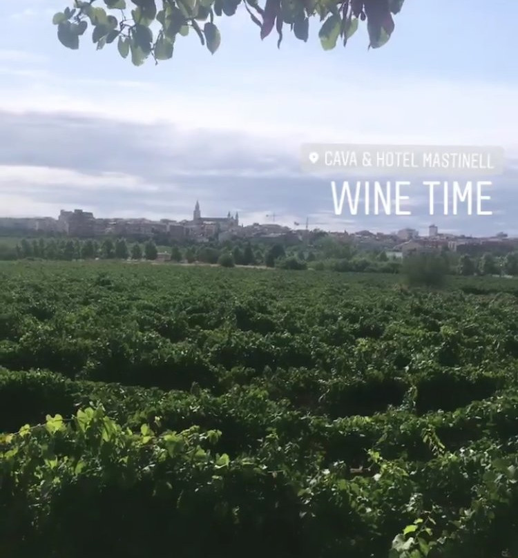 Mastinell Cava & Boutique Hotel By Olivia Hotels Collection主图