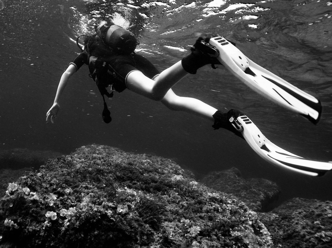 Scuba Activa-Sant Elm必去景点