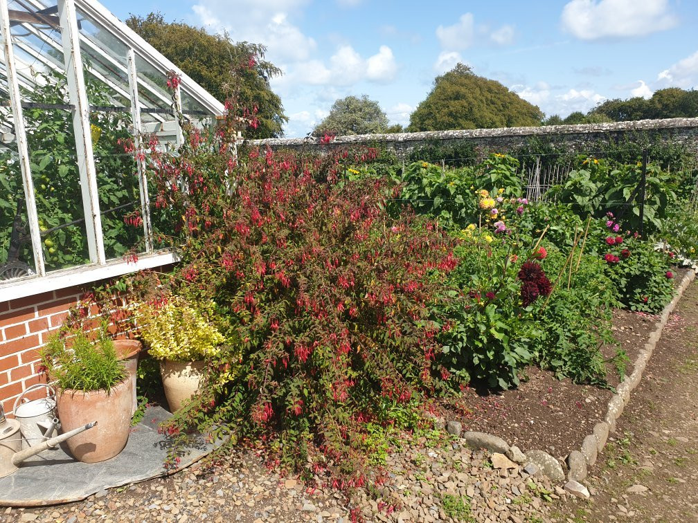 Clovelly Court Gardens-Clovelly必去景点