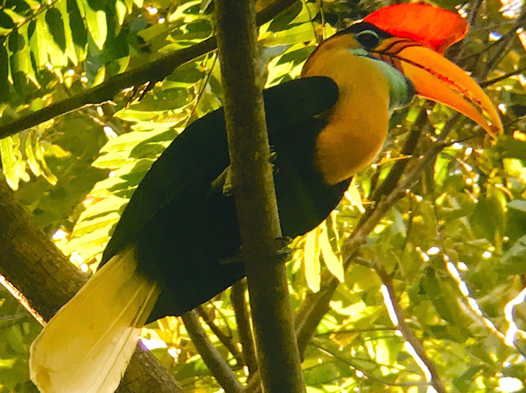 Botanica Nature Resort主图