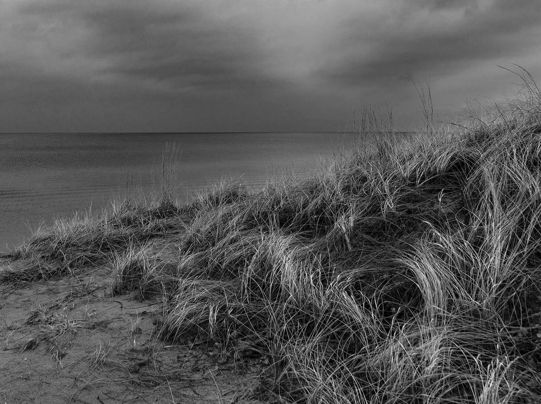 Dunes Photo Tours景点图片