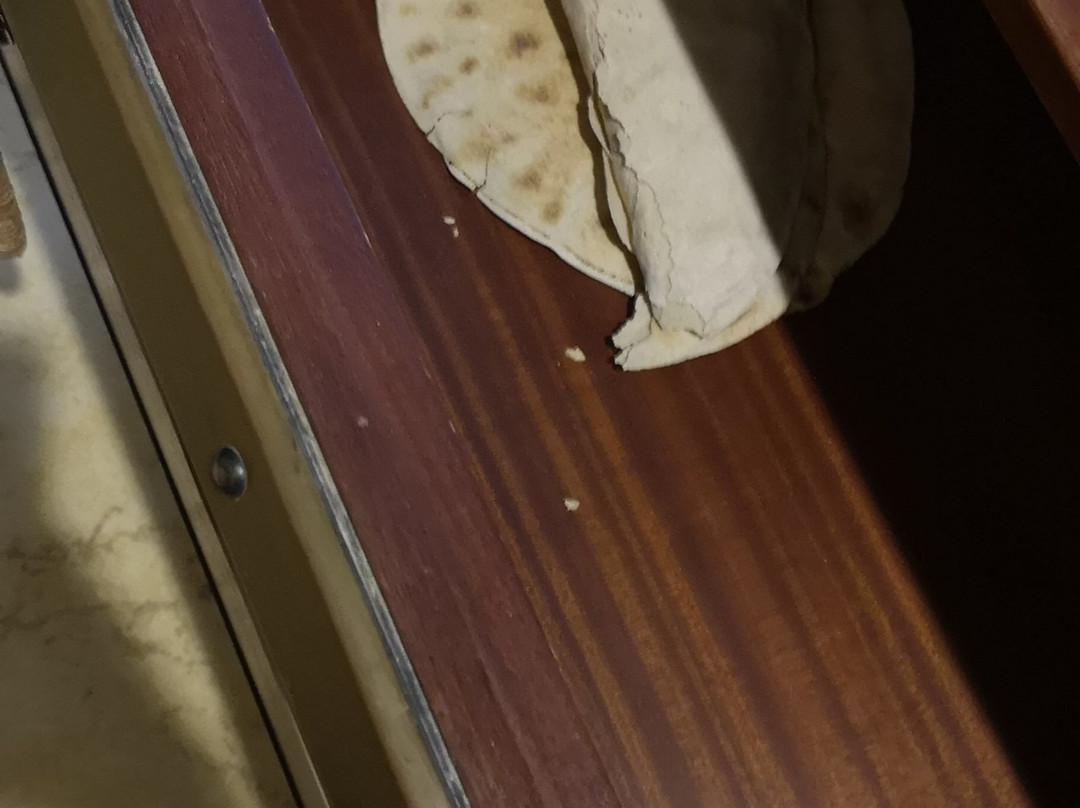 沙迦国际机场酒店主图