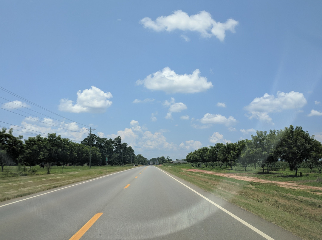 Lane Southern Orchards-Fort Valley必去景点