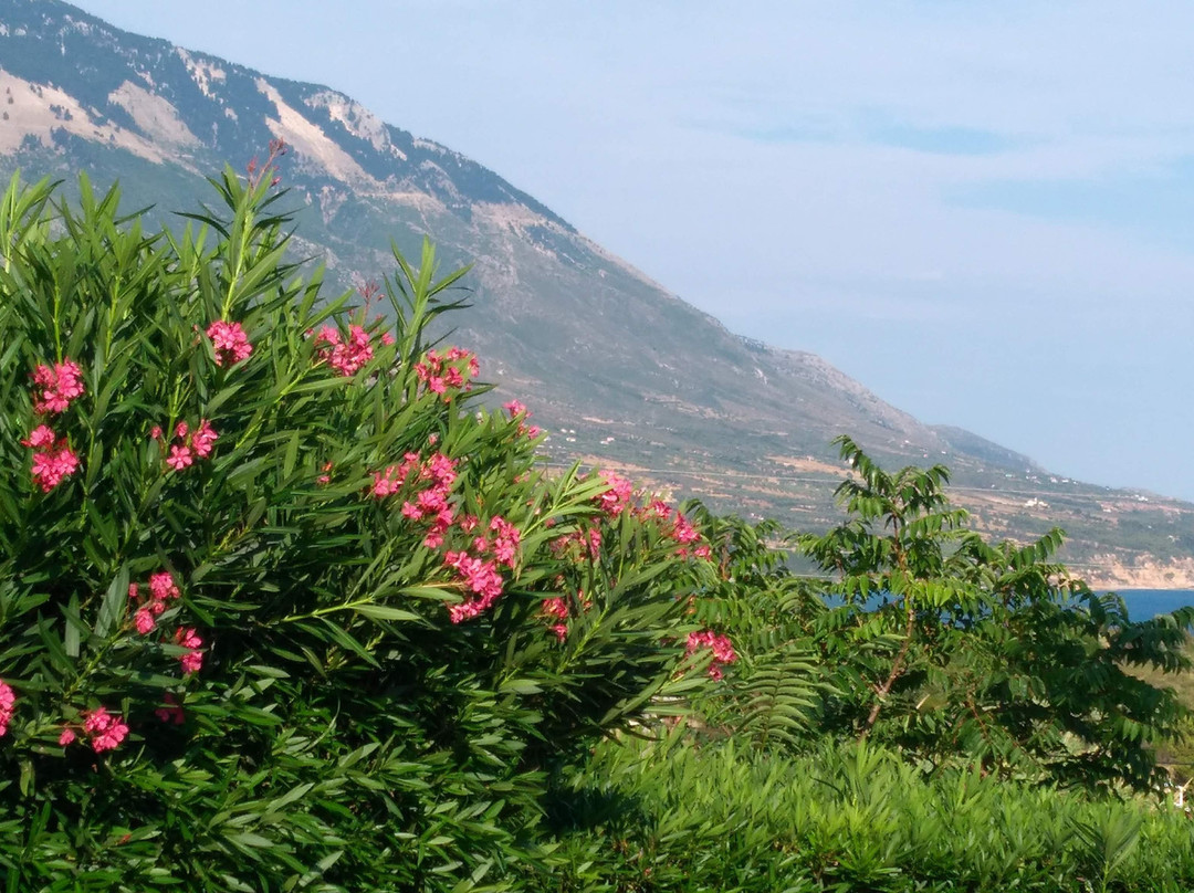 Karavados Beach Hotel主图