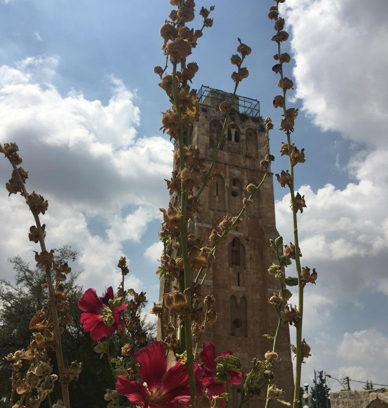 The White Tower-Ramla必去景点