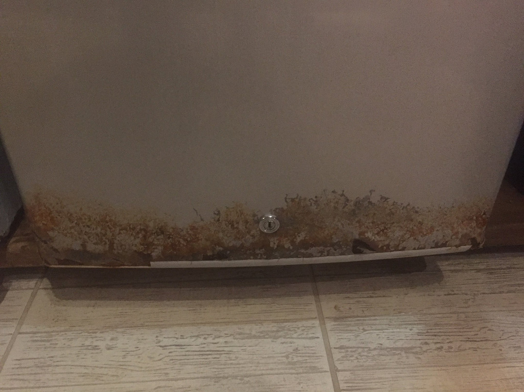 Rougail Mangue主图